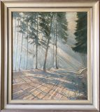 Lichtdurchfluteter Waldweg (Hermann Andresen)